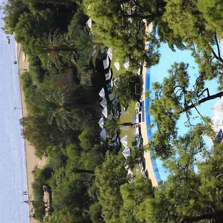 Tui Magic Life Hotell Sarigerme