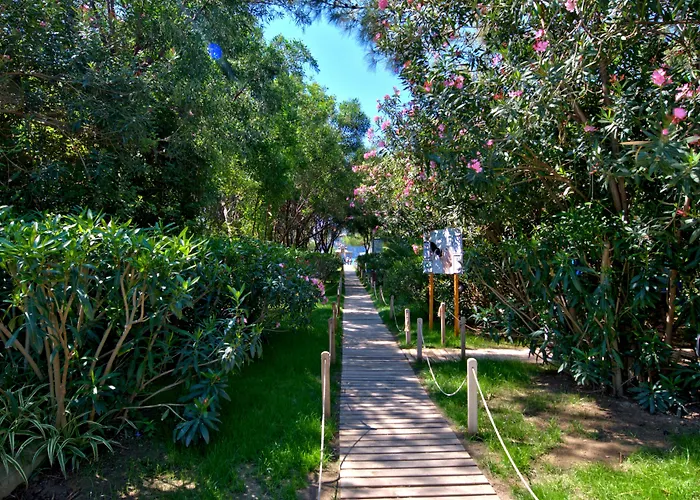 Tui Magic Life 5* Sarıgerme