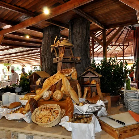 Tui Magic Life 5* Sarigerme