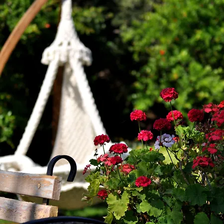 Hotel Tui Magic Life 5*