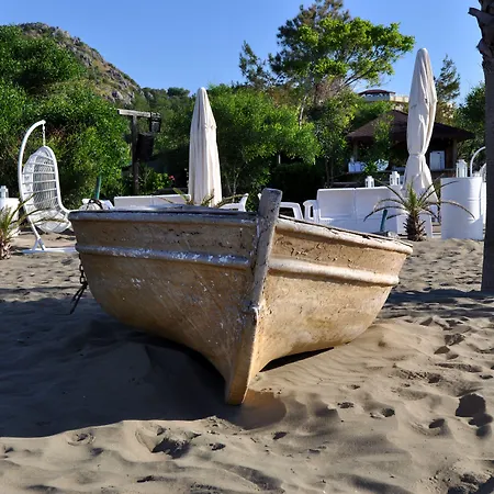 Tui Magic Life Hotel 5*