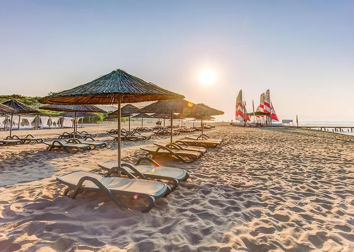 Tui Magic Life Отель