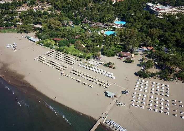 Tui Magic Life Hotell