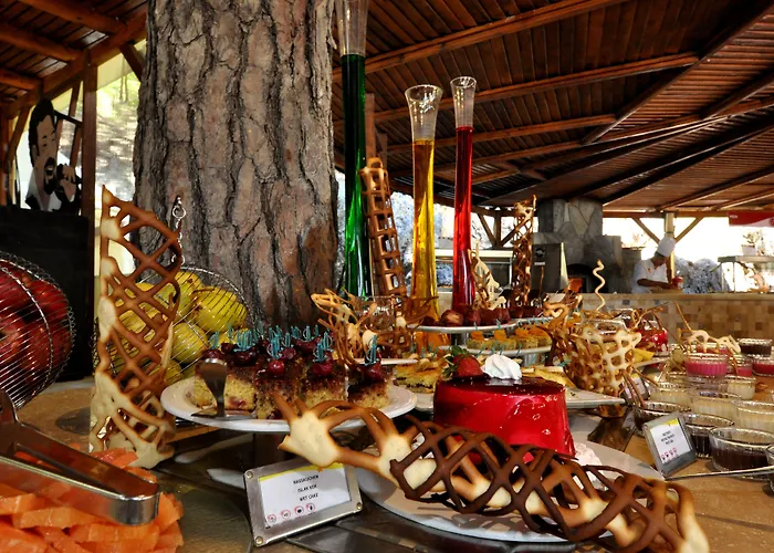 Tui Magic Life Hotell